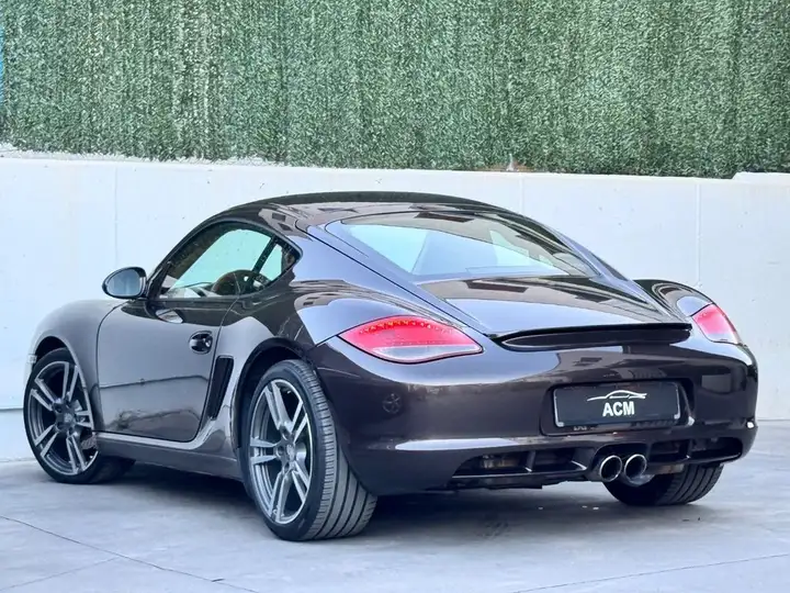 Porsche Cayman 2010, foto 16