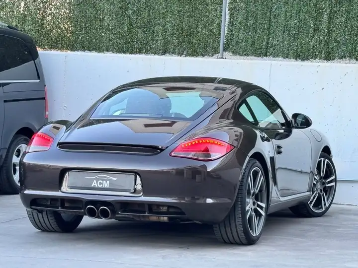 Porsche Cayman 2010, foto 18