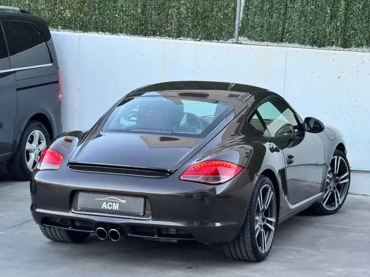 Porsche Cayman 2010, foto 17