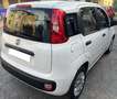 Fiat Panda 1.2 69cv VAN 4 posti Bianco - thumbnail 3