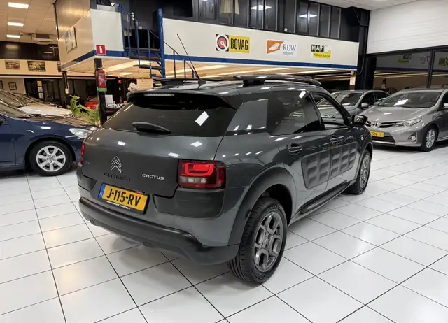 Citroen C4 Cactus view 14