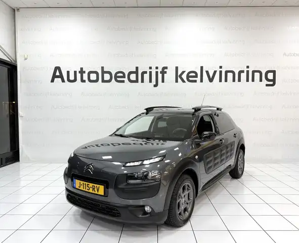 Citroen C4 Cactus view 2