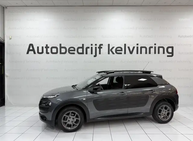 Citroen C4 Cactus view 10