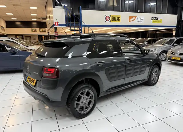 Citroen C4 Cactus view 15