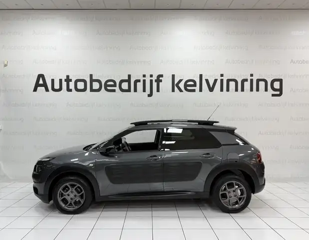 Citroen C4 Cactus view 6