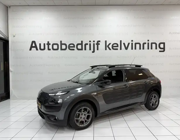 Citroen C4 Cactus view 9