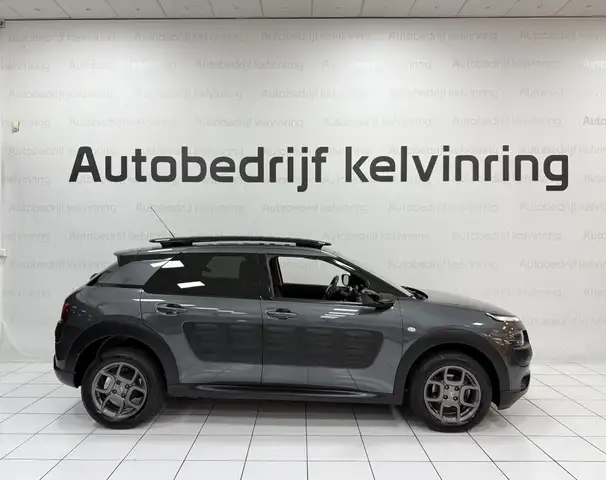 Citroen C4 Cactus view 5