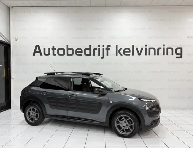 Citroen C4 Cactus view 7