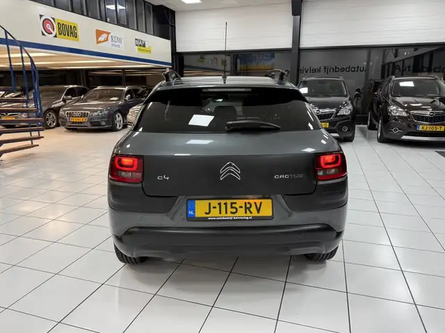 Citroen C4 Cactus view 13