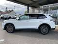 Volkswagen Tiguan III 1.5 eTSI DSG Life AHK/LED/ALLSEASON Weiß - thumbnail 10