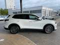 Volkswagen Tiguan III 1.5 eTSI DSG Life AHK/LED/ALLSEASON Weiß - thumbnail 5