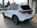 Volkswagen Tiguan III 1.5 eTSI DSG Life AHK/LED/ALLSEASON Weiß - thumbnail 9