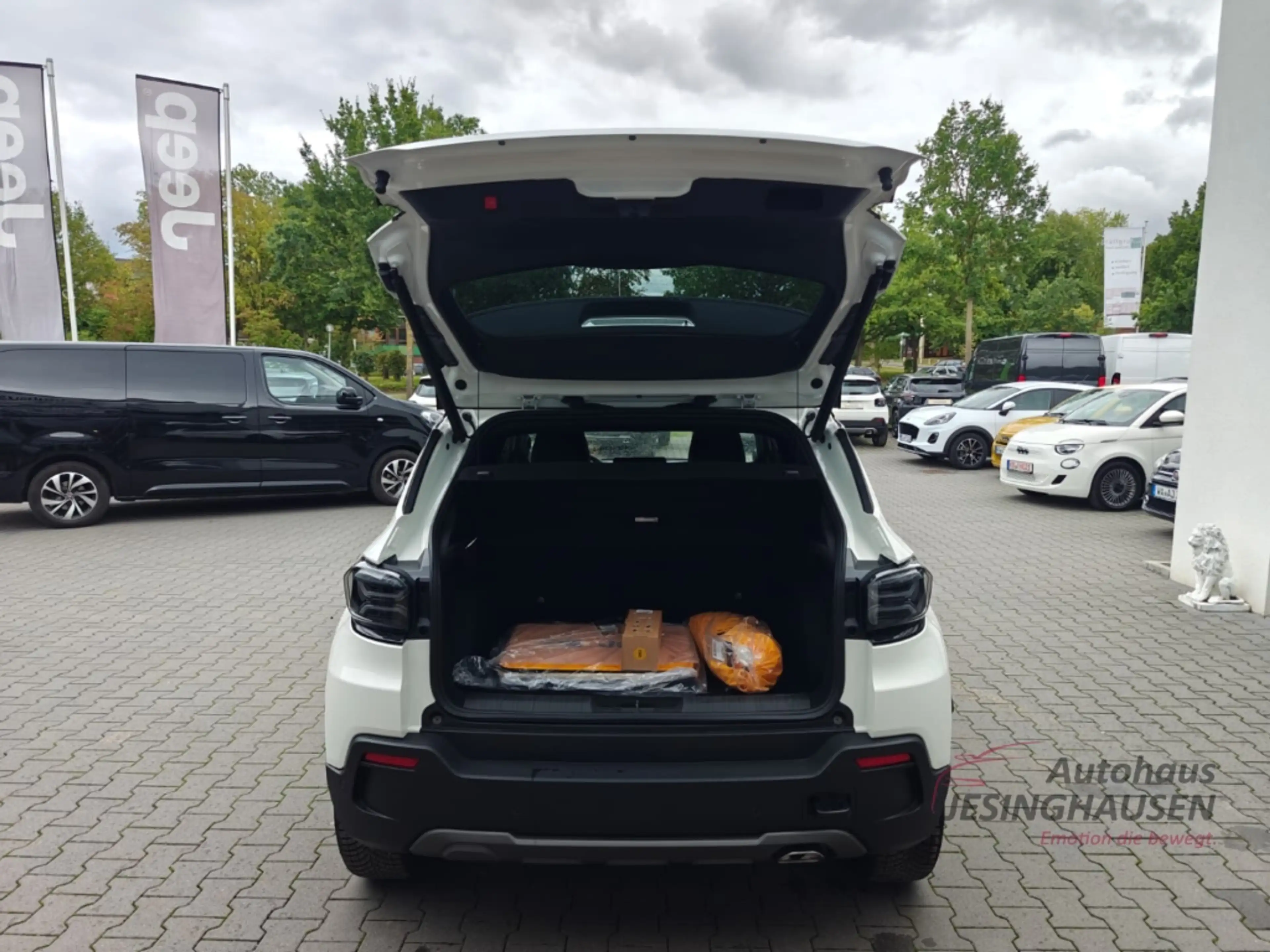 Jeep Avenger The North Face 4xe WinterP.+El.Heckklap.+Apple Car — photo 7
