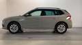 Skoda Kamiq 1.0 TSI 110pk Business Edition Panoramadak Virtual Grijs - thumbnail 14