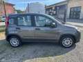 Fiat New Panda Panda 1.0 FireFly S&S Hybrid Grigio - thumbnail 4