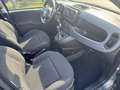 Fiat New Panda Panda 1.0 FireFly S&S Hybrid Grigio - thumbnail 13