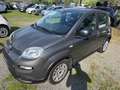 Fiat New Panda Panda 1.0 FireFly S&S Hybrid Grigio - thumbnail 1