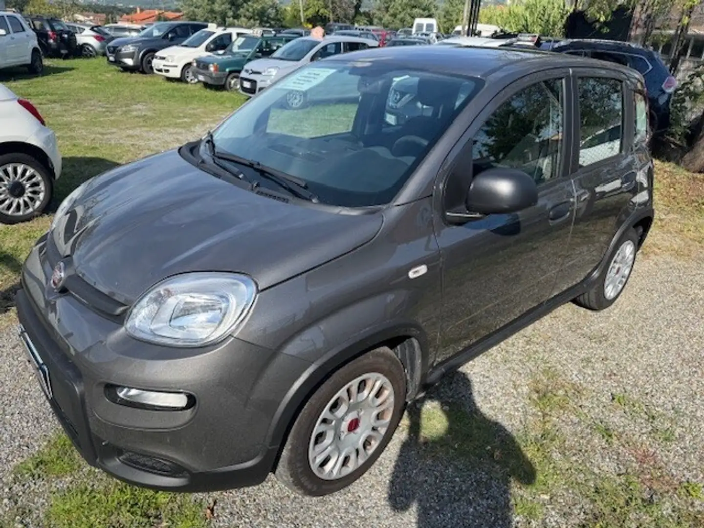 Fiat New Panda Panda 1.0 FireFly S&S Hybrid Grigio - 1