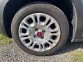 Fiat New Panda Panda 1.0 FireFly S&S Hybrid Grigio - thumbnail 9