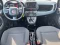 Fiat New Panda Panda 1.0 FireFly S&S Hybrid Grigio - thumbnail 12