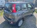 Fiat New Panda Panda 1.0 FireFly S&S Hybrid Grigio - thumbnail 5