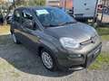 Fiat New Panda Panda 1.0 FireFly S&S Hybrid Grigio - thumbnail 3