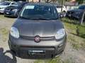 Fiat New Panda Panda 1.0 FireFly S&S Hybrid Grigio - thumbnail 2