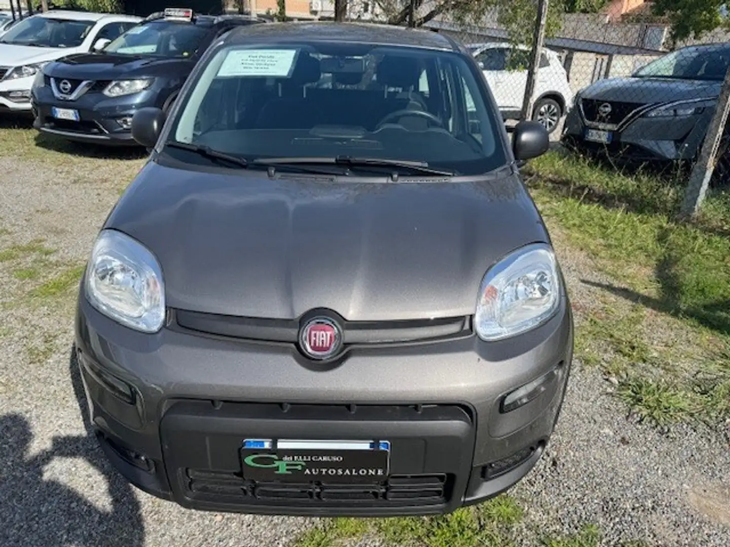 Fiat New Panda Panda 1.0 FireFly S&S Hybrid Grigio - 2