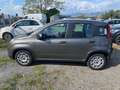 Fiat New Panda Panda 1.0 FireFly S&S Hybrid Grigio - thumbnail 8