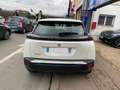 Peugeot 2008 1.5 BlueHDi S\u0026S - 100  II  Active Business Bianco - thumbnail 9