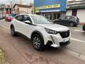 Peugeot 2008 1.5 BlueHDi S\u0026S - 100  II  Active Business Bianco - thumbnail 7