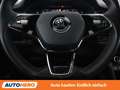 Skoda Kodiaq 2.0 TDI Sportline 4x4 Schwarz - thumbnail 19
