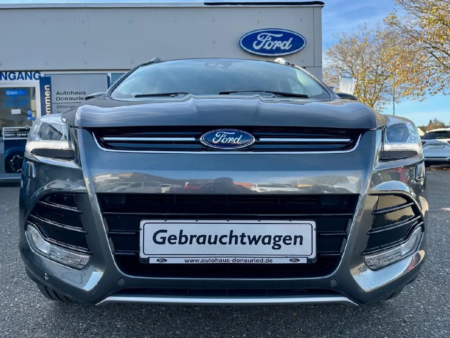 Ford Kuga Titanium Aut. AWD Gris - 2
