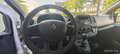 Renault Trafic 9 Sitzer 10000€ Netto Blanco - thumbnail 11