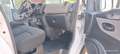 Renault Trafic 9 Sitzer 10000€ Netto Blanco - thumbnail 15