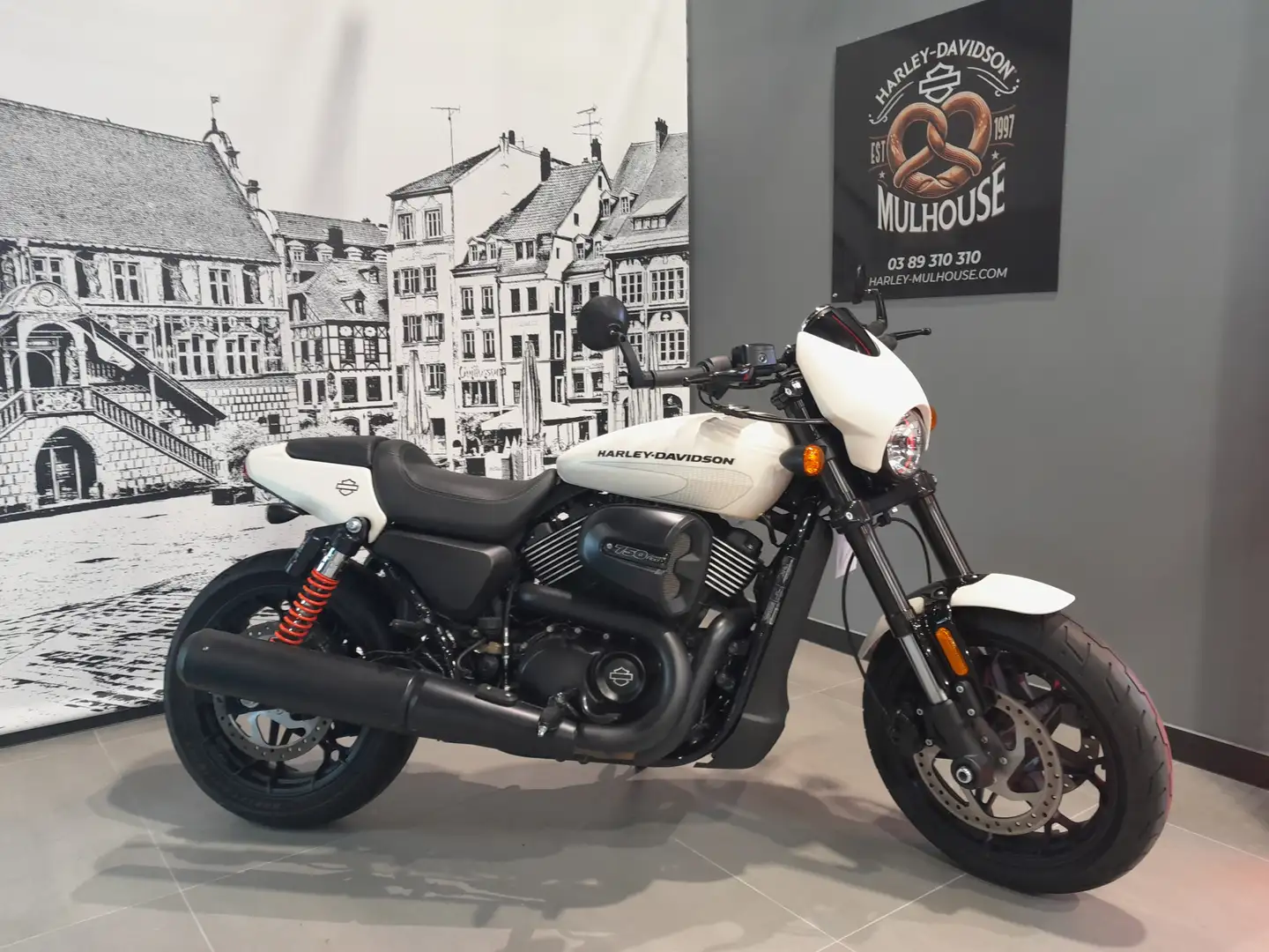 Harley-Davidson Street Rod - 1