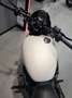 Harley-Davidson Street Rod - thumbnail 4