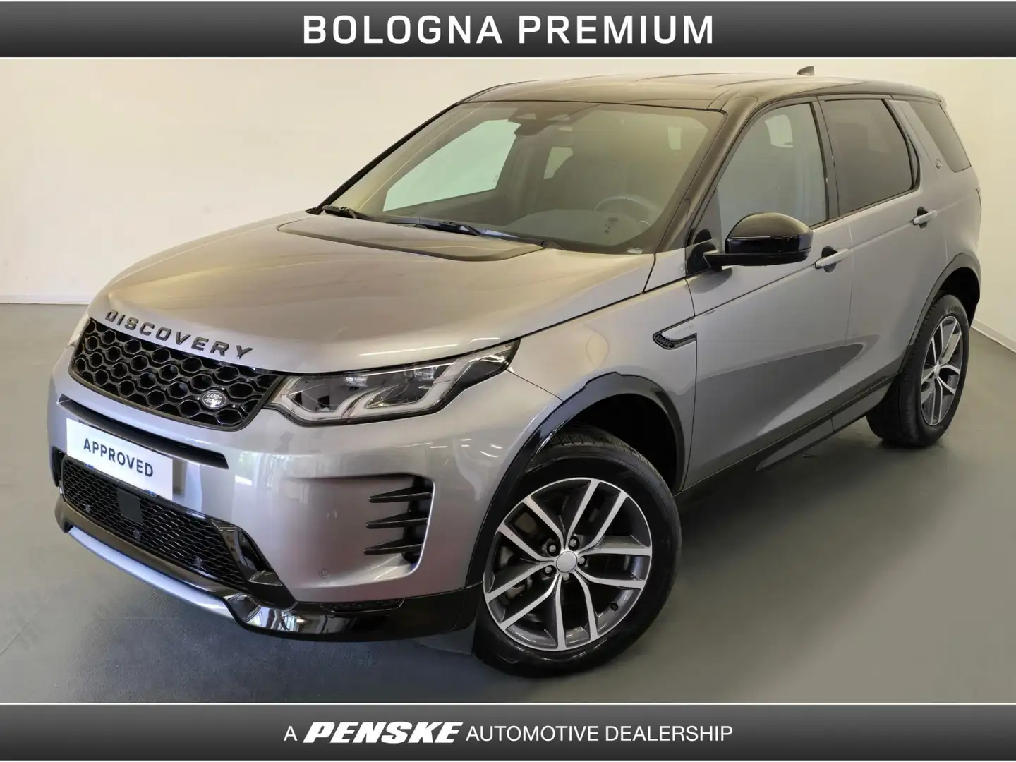 Land Rover Discovery Sport 2.0 TD4 163 CV AWD Auto Dynamic SE Grigio - 1