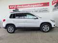 Volkswagen Tiguan Trend & Fun, Standheizung,1 Jahr Garantie Weiß - thumbnail 10