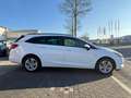 Opel Astra K Sports Tourer Business R. Kamera Weiß - thumbnail 4