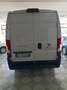 Fiat Ducato Ducato 35 2.2 Mjt 140CV PLM-TA Furgone Weiß - thumbnail 4
