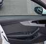 Audi A4 A4 Avant 35 TDI S-line S-tronic MATRIX VIRTUAL 1.B Weiß - thumbnail 14
