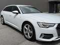 Audi A6 Avant 40 TDI quattro Sport S-Line ACC/MATRIX/AHK Weiß - thumbnail 3