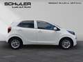 Kia Picanto 1.2 Dream Team NAVI-Paket Weiß - thumbnail 7