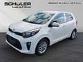 Kia Picanto 1.2 Dream Team NAVI-Paket Weiß - thumbnail 1