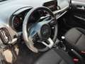 Kia Picanto 1.2 Dream Team NAVI-Paket Weiß - thumbnail 12