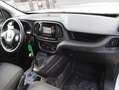 Fiat Doblo Cargo 1.3 Multijet SX 3 Posti Blanc - thumbnail 13