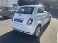 Fiat 500 1.3 Multijet 95 CV Lounge con pack 16" Bianco - thumbnail 4