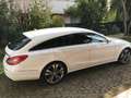 Mercedes-Benz CLS 250 Shooting Brake d (bt) Sport auto - thumbnail 20