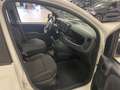 Fiat Panda 1.0 FireFly S&S Hybrid+5posti+RADIO BT Blanco - thumbnail 8